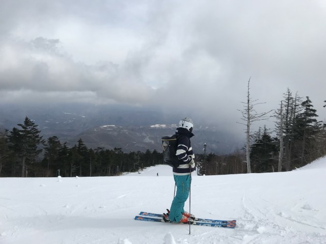f:id:hobbitroom:20190115093515j:image