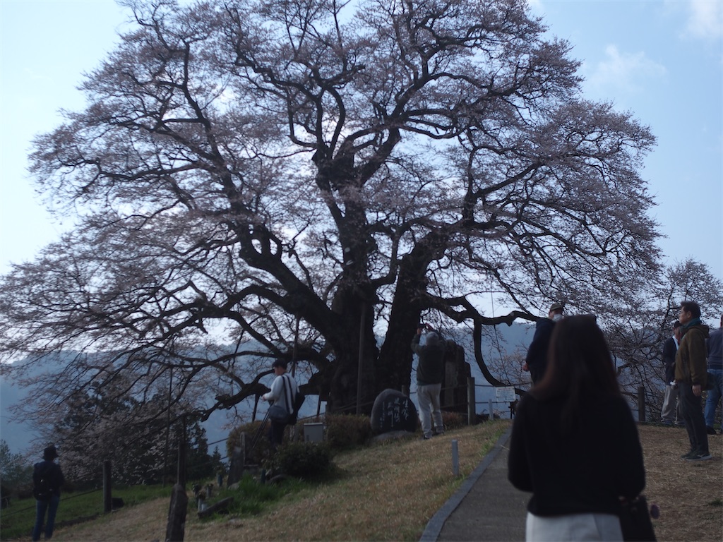 f:id:hobby-w-diary:20250426121425j:image f:id:hobby-w-diary:20250426121425j:image