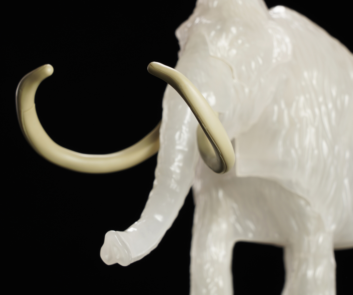 氷河期を生き抜いた古代の生命！「エクスプローリングラボネイチャー