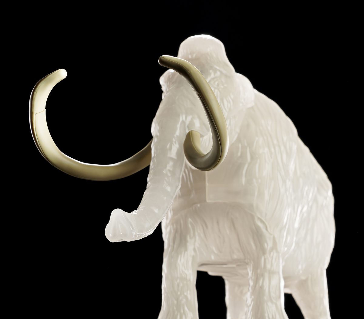 希少　氷河期マンモス標本標本 希少 氷河期マンモス標本標本 希少 氷河期マンモス標本標本 世界初公開