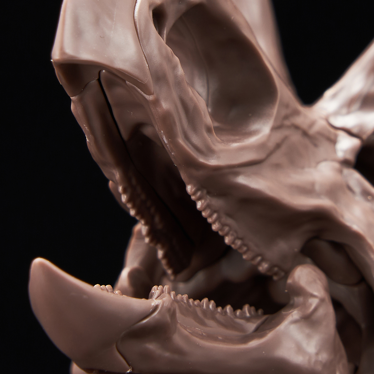 重厚な植物食恐竜！「1/32 Imaginary Skeleton トリケラトプス」のご