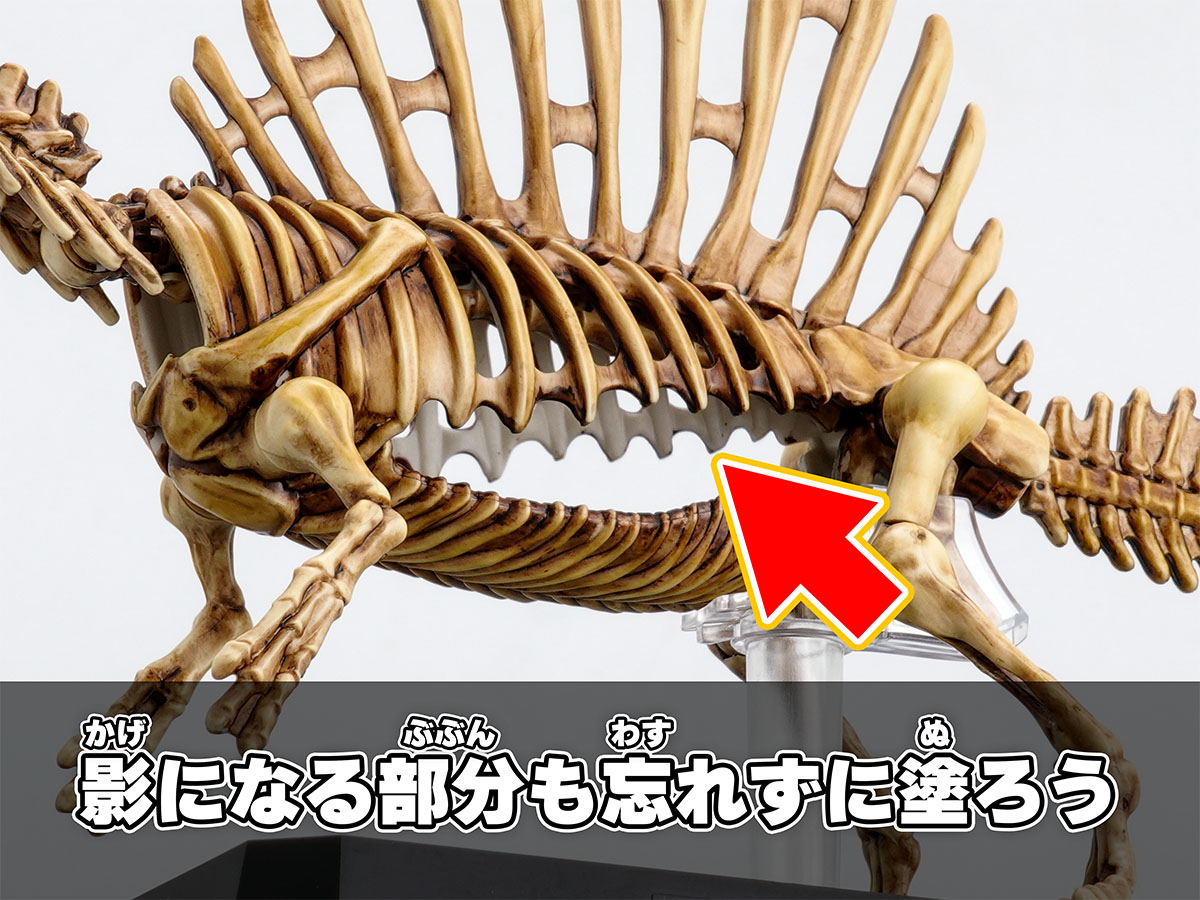 プラノサウルス】水辺の狩人！スピノサウルスのご紹介！！ - ホビー