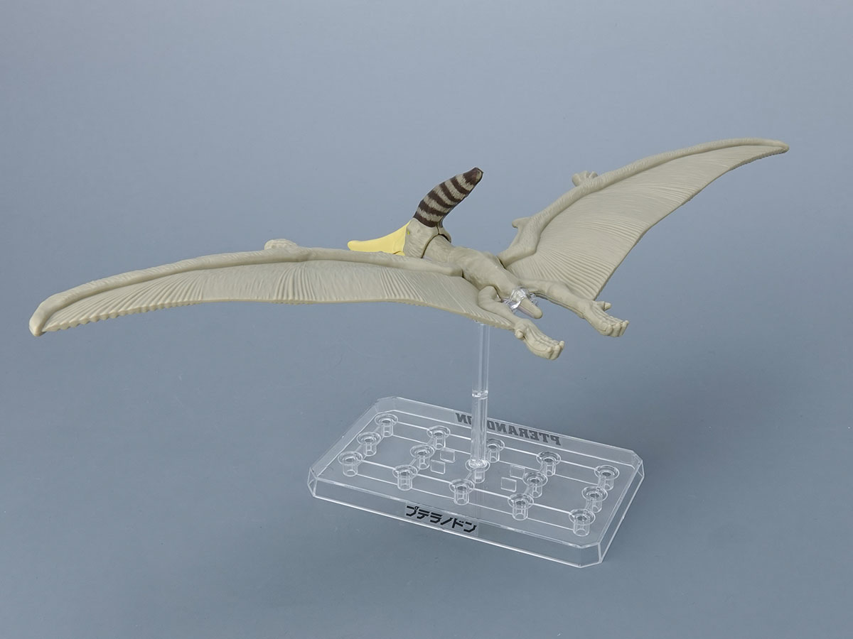 プラノサウルス】大空の翼竜！プテラノドンのご紹介！！ - ホビー事業