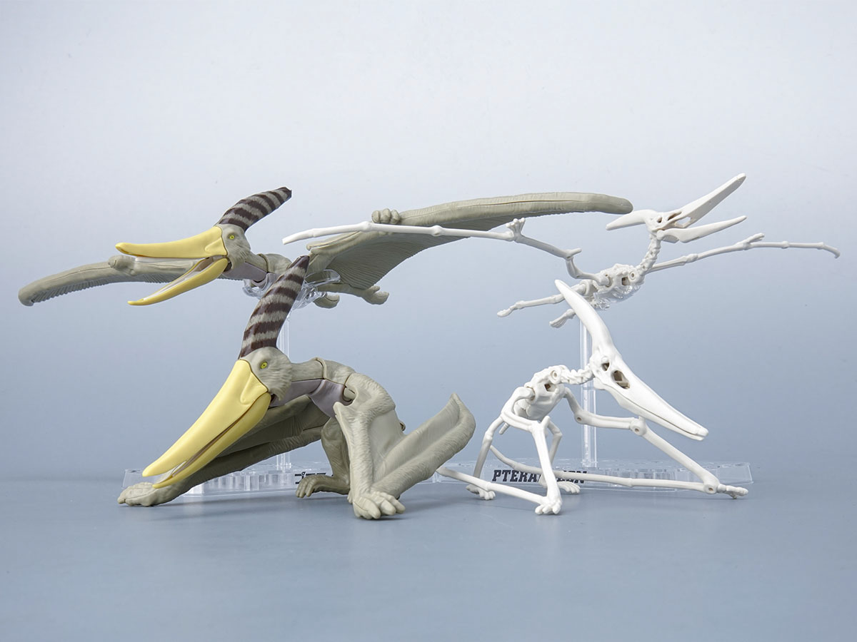 プラノサウルス】大空の翼竜！プテラノドンのご紹介！！ - ホビー事業