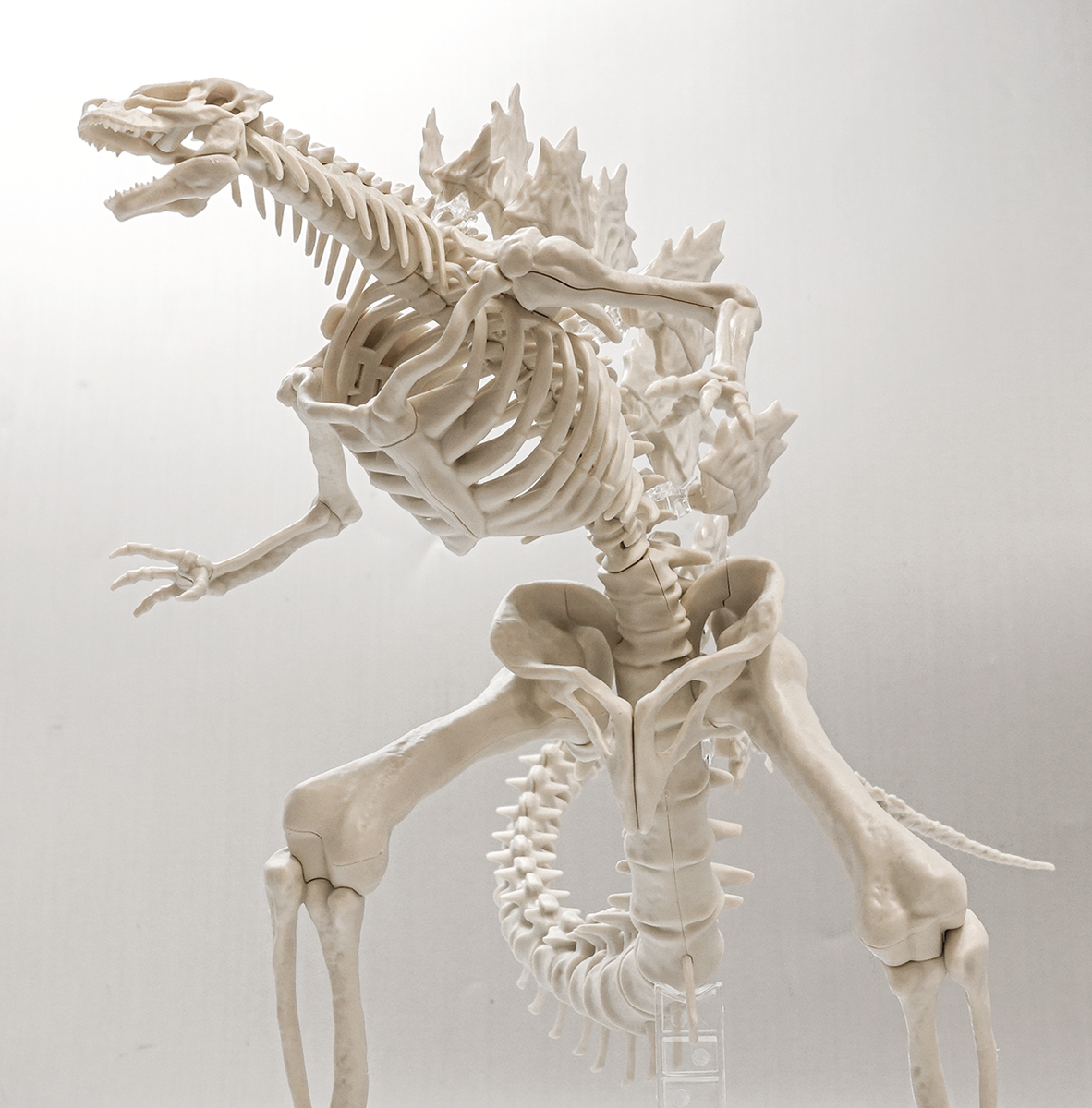 骨格から再現される「怪獣王」！！ゴジラ(2024) from｢ゴジラxコング
