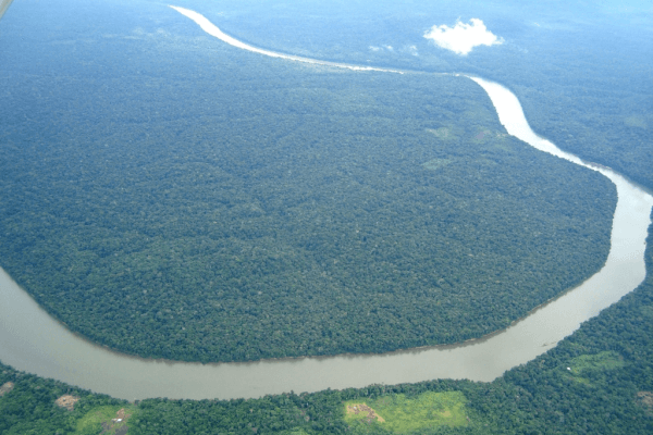 f:id:hobiwo:20180713062046p:plain:w300