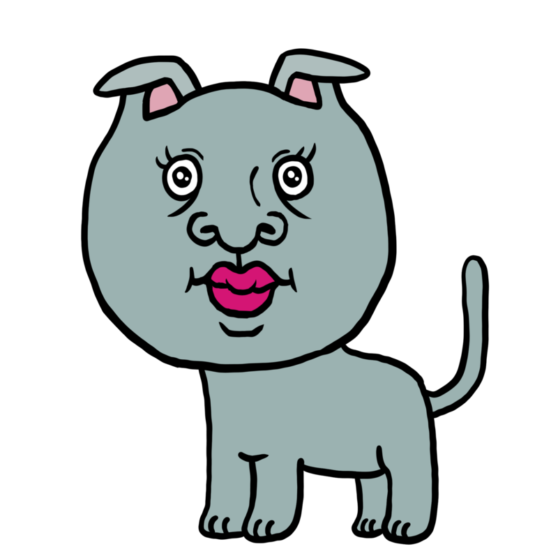 かわいいスコティッシュフォールドのイラスト
