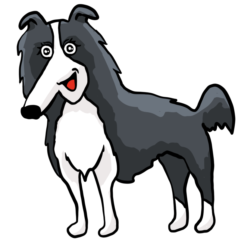 ボーダーコリーのイラスト