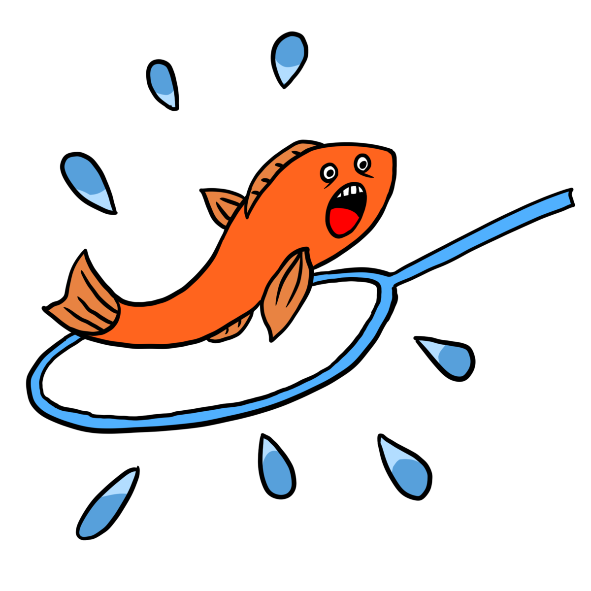 金魚すくい