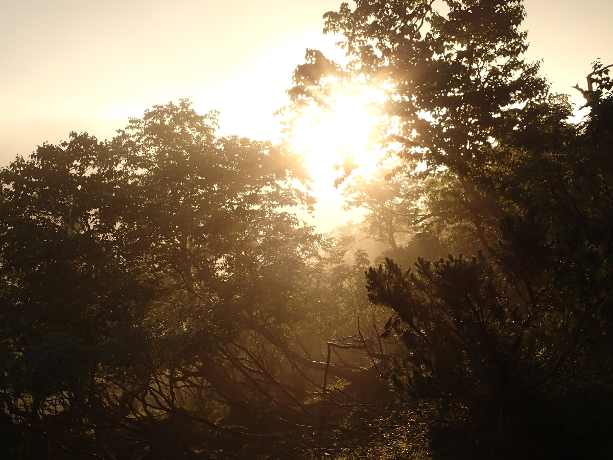 f:id:hobohiker:20220112221632j:plain
