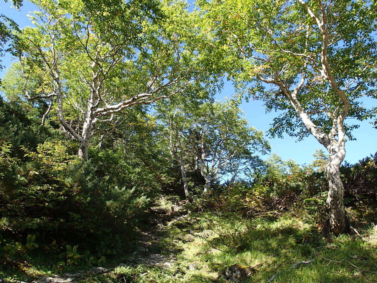 f:id:hobohiker:20220112221858j:plain