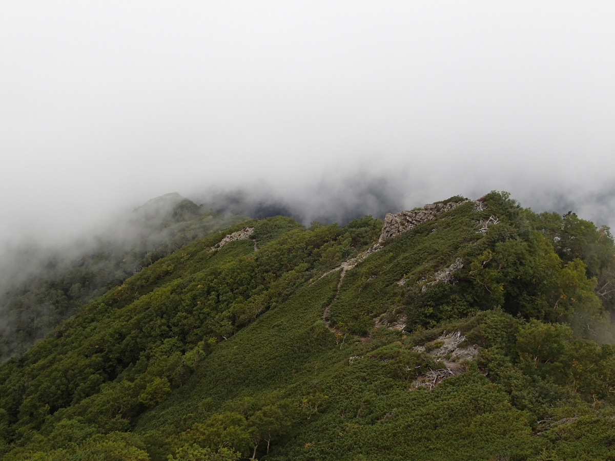 f:id:hobohiker:20220116155306j:plain