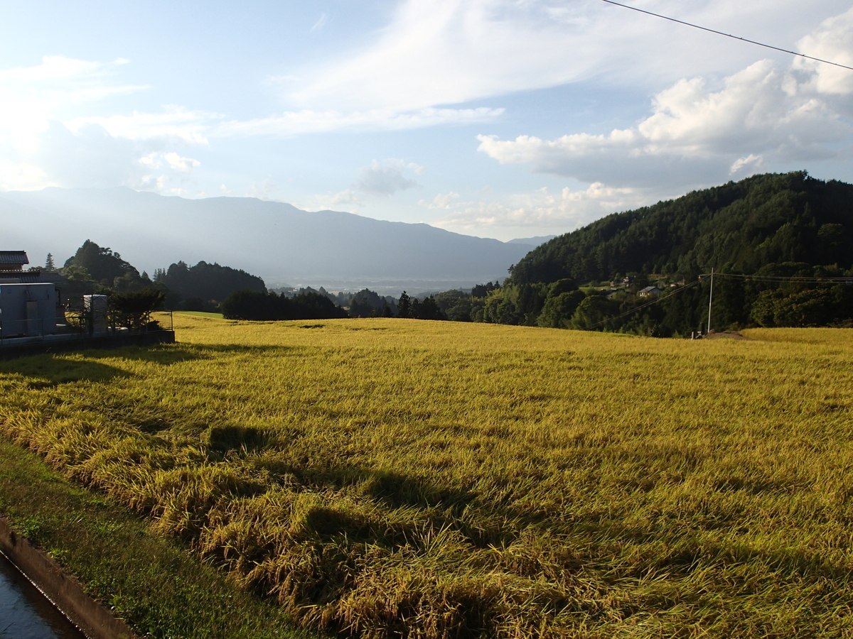 f:id:hobohiker:20220116160303j:plain