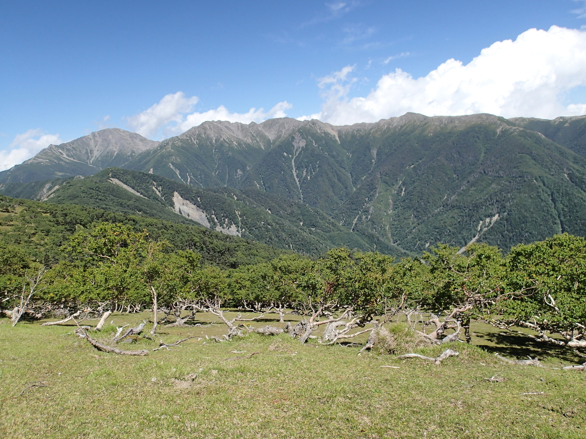f:id:hobohiker:20220117151830j:plain