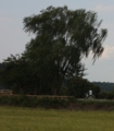 20120914161305