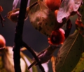 20120930093303