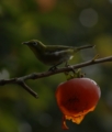 20121006134017