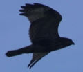 20121013132759