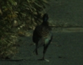 20121026095623