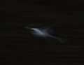 20121030064227