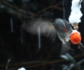20130114102538