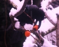 20130114120657