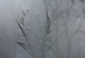 20130207093717
