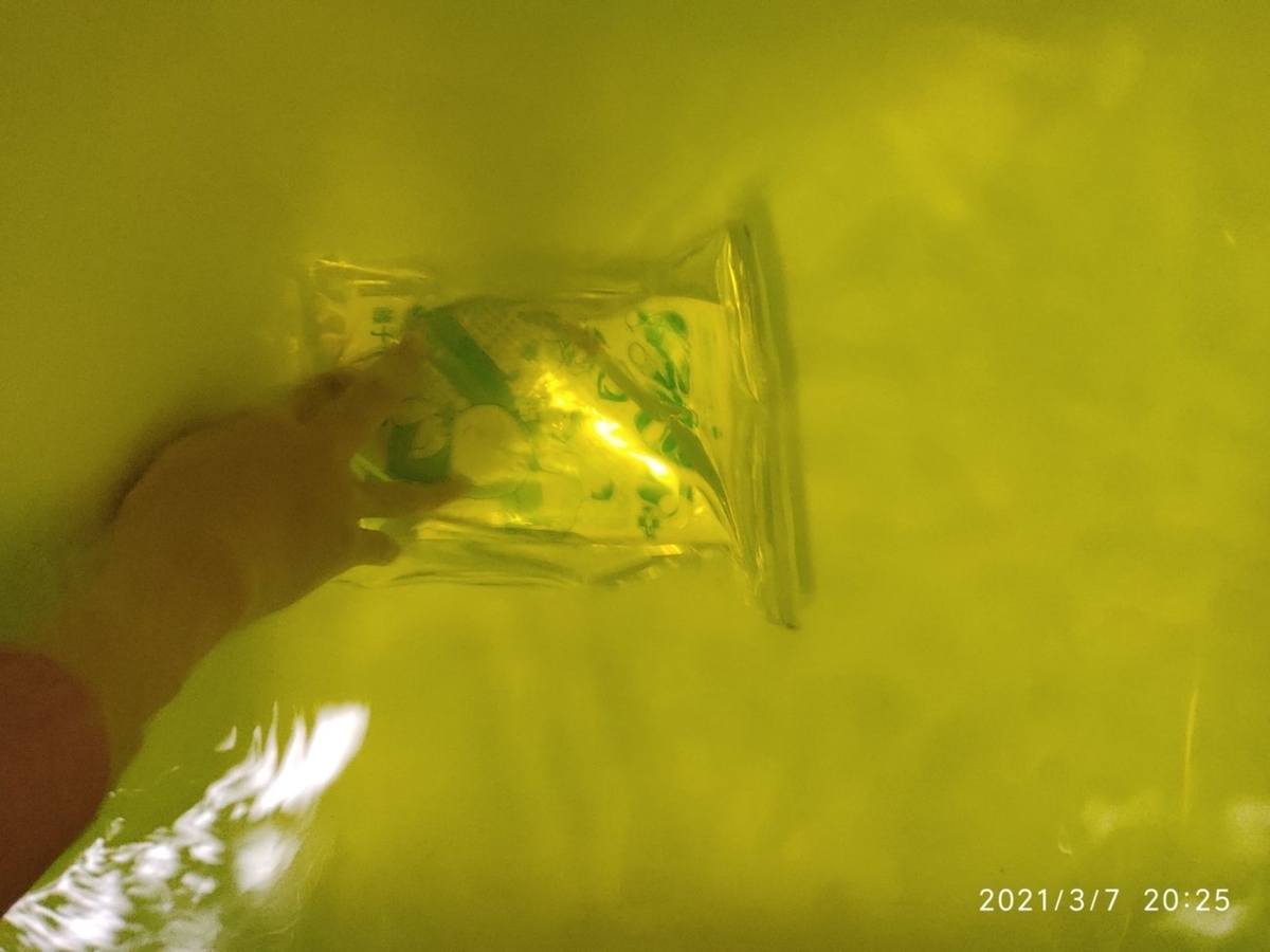 f:id:hofuyatetu:20210308061622j:plain