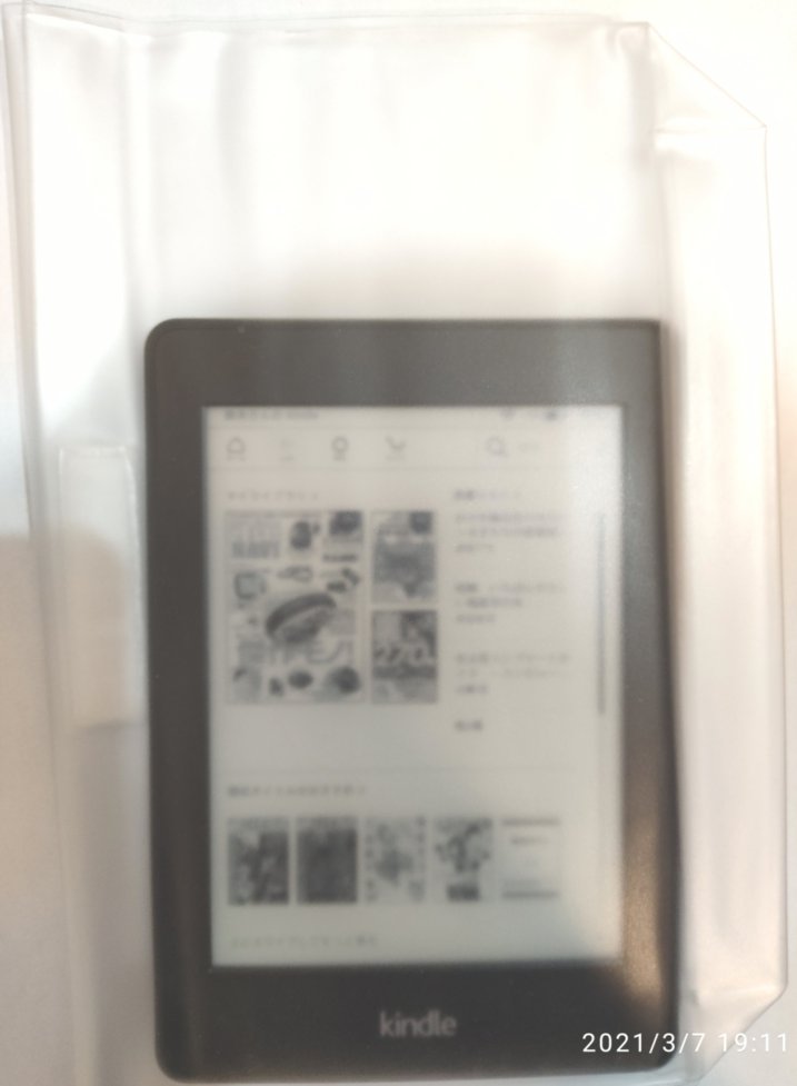 f:id:hofuyatetu:20210308064827j:plain