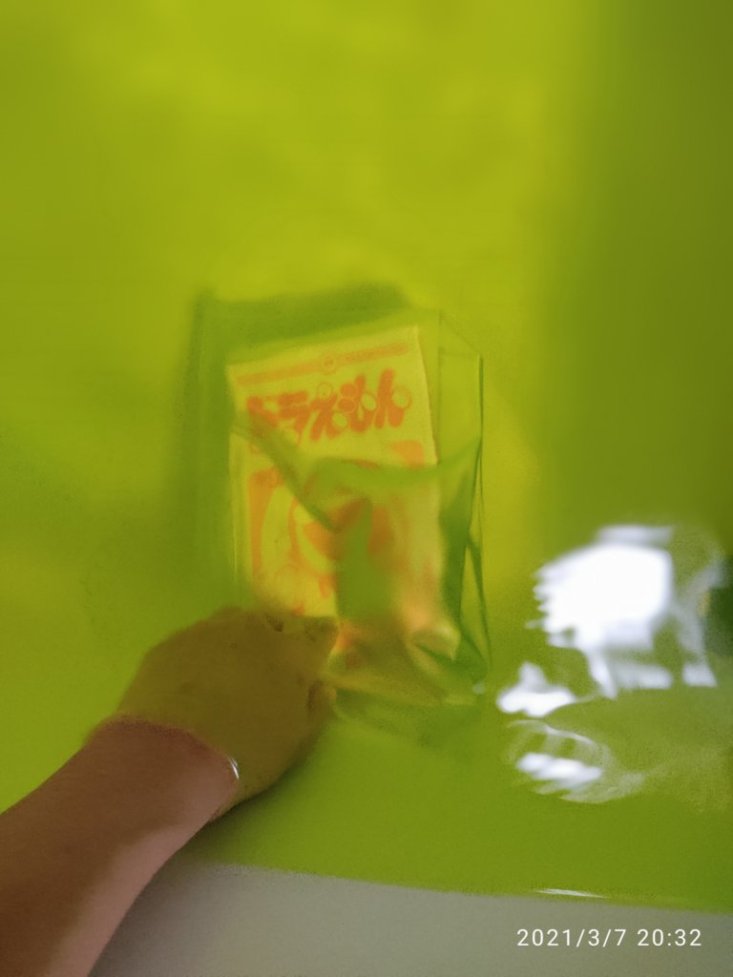 f:id:hofuyatetu:20210308065553j:plain