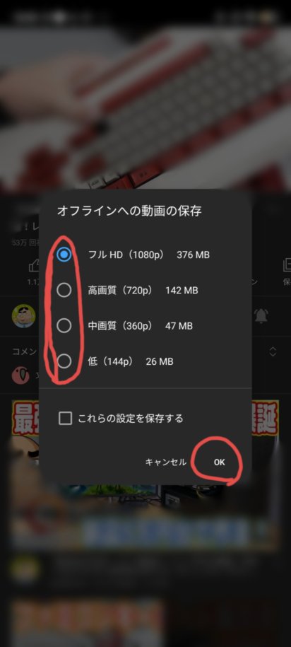 f:id:hofuyatetu:20210309170925j:plain