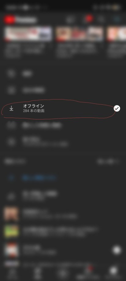 f:id:hofuyatetu:20210309171026j:plain