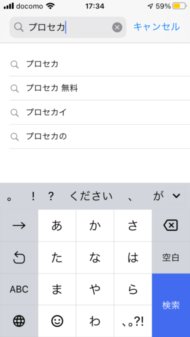 f:id:hofuyatetu:20210313180147j:plain