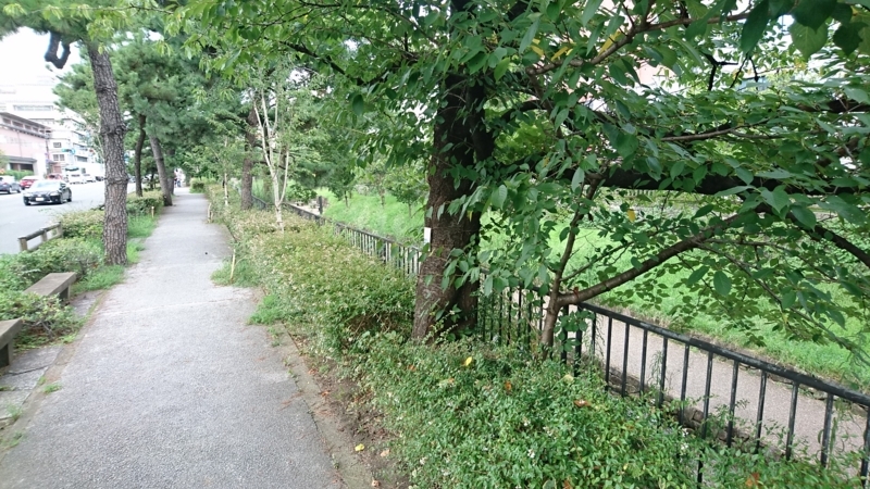 f:id:hogashi:20170908014514j:plain