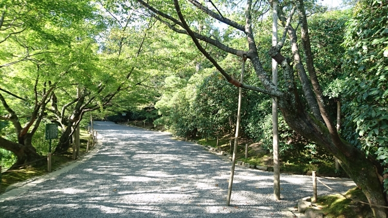 f:id:hogashi:20170908014520j:plain