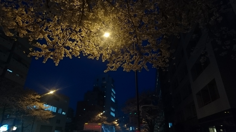 f:id:hogashi:20180329190435j:plain