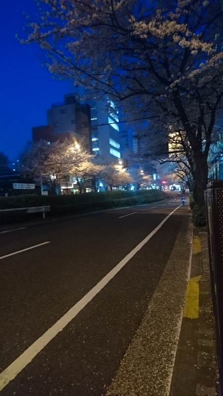 f:id:hogashi:20180329190437j:plain