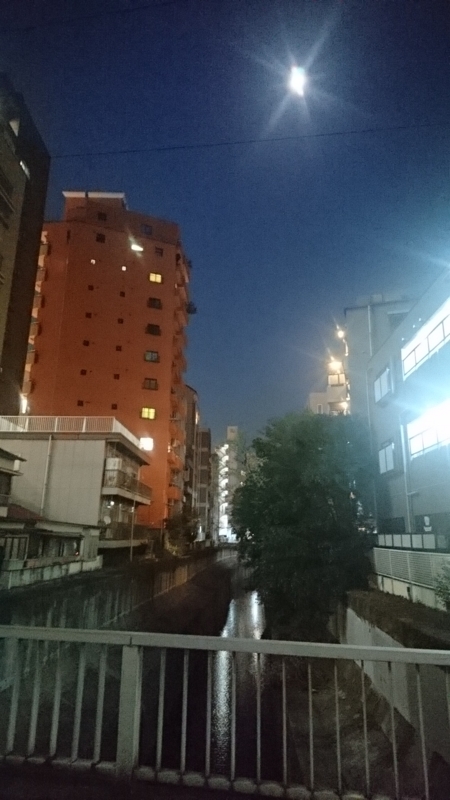 f:id:hogashi:20180329190438j:plain