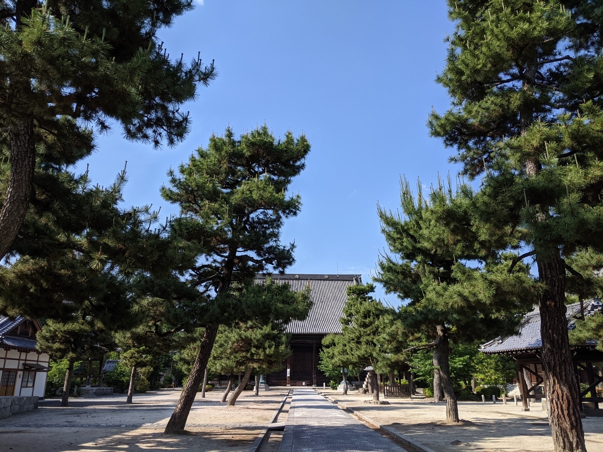 f:id:hogashi:20210530220036j:plain