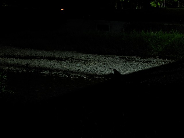 f:id:hogashi:20210802211406j:image