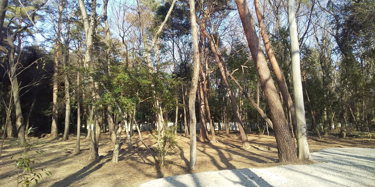 f:id:hoge9k:20210215232106j:plain