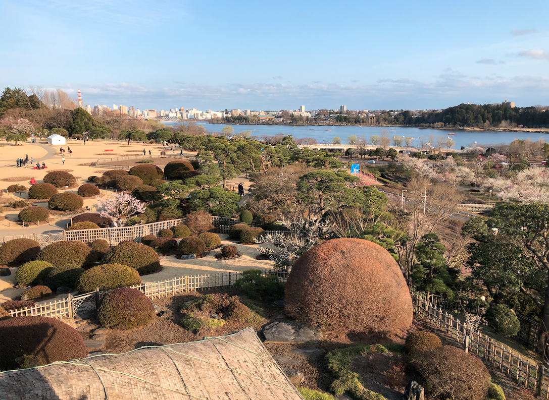 f:id:hogloid:20210401200022p:plain