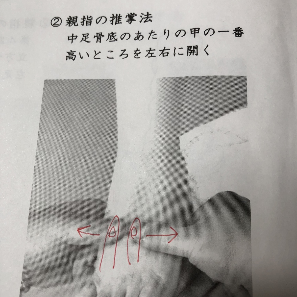 f:id:hogusu-kyoto:20190517123028j:plain