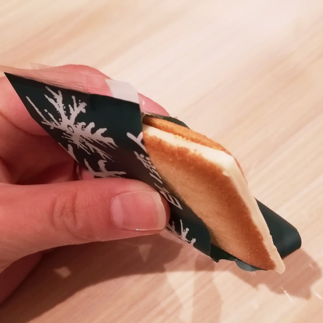 f:id:hoho11:20190217235835j:image:w300