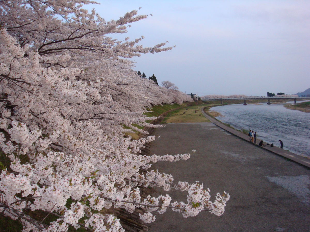 f:id:hohoan:20200507190635j:plain