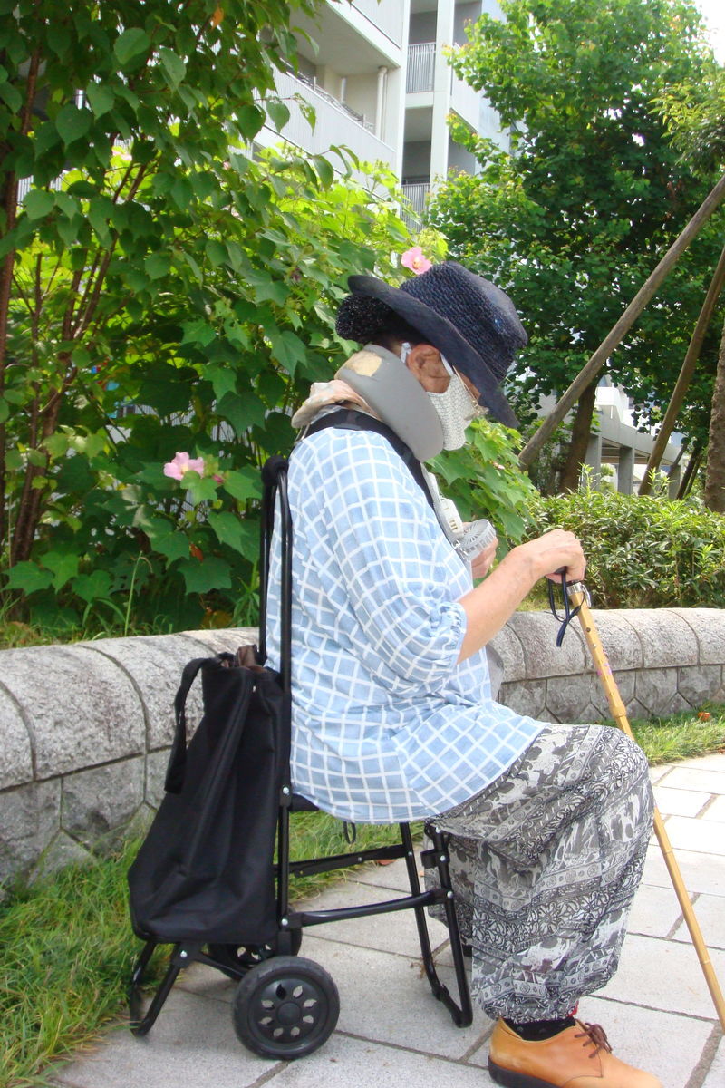 f:id:hohoan:20200810175003j:plain f:id:hohoan:20200810175003j:plain