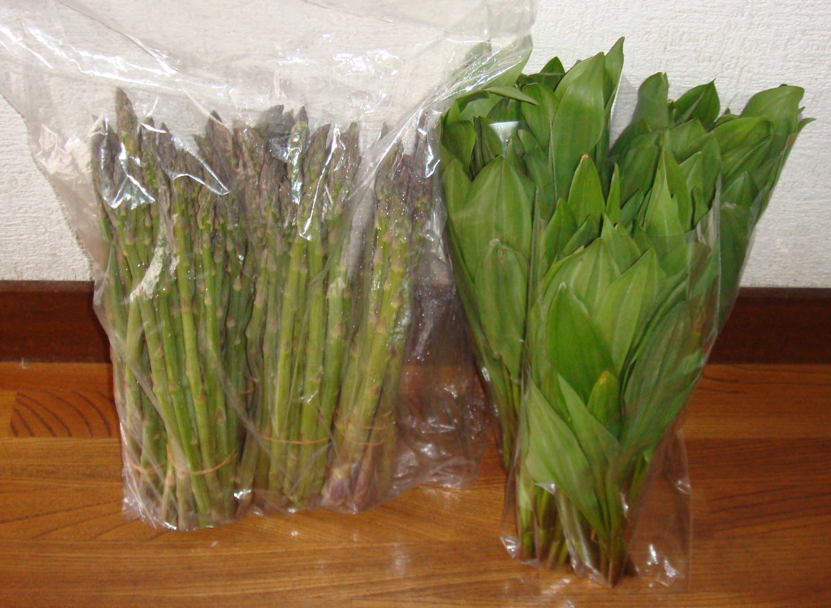 f:id:hohoan:20210501074129j:plain