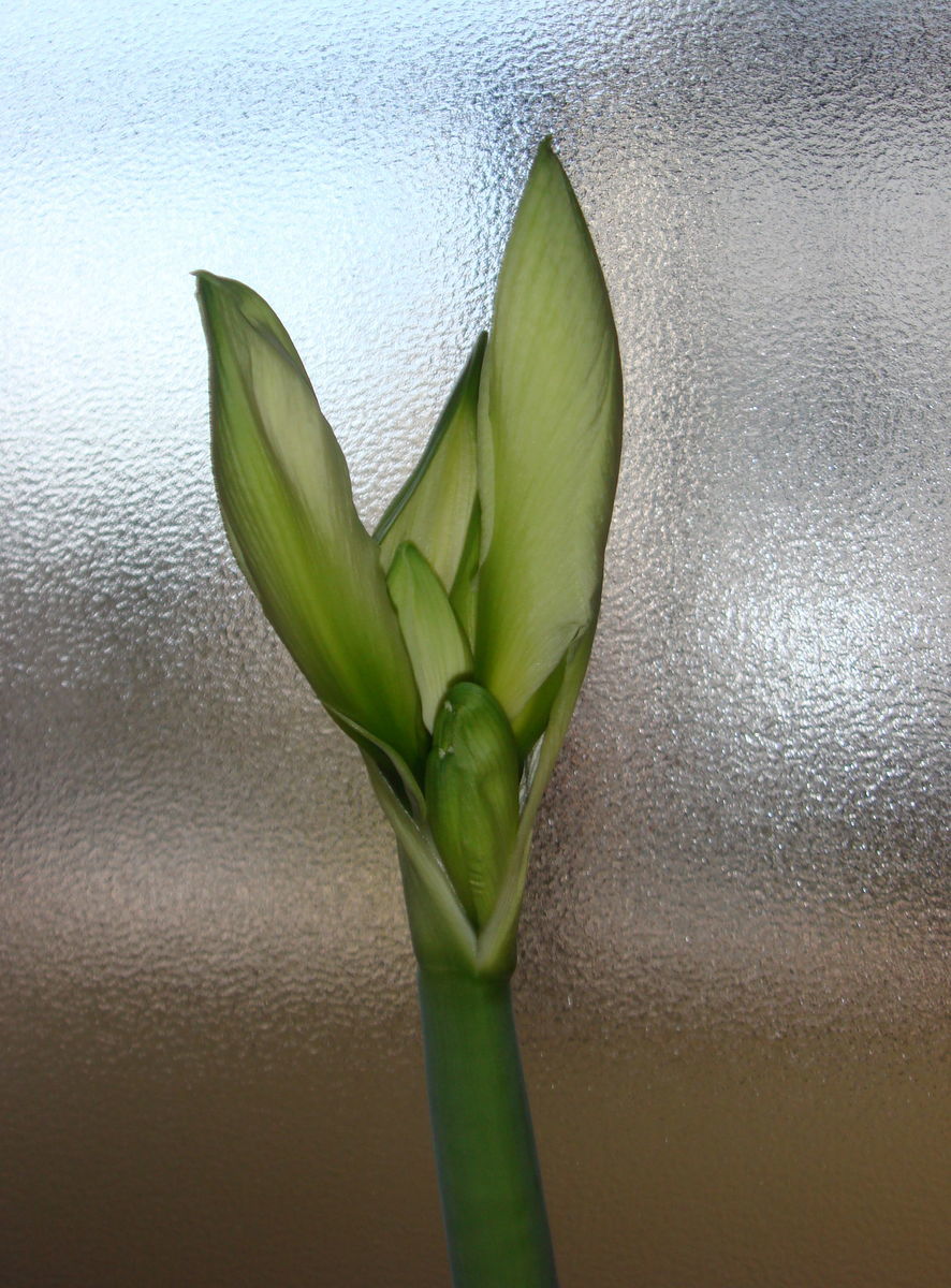 f:id:hohoan:20210510062644j:plain