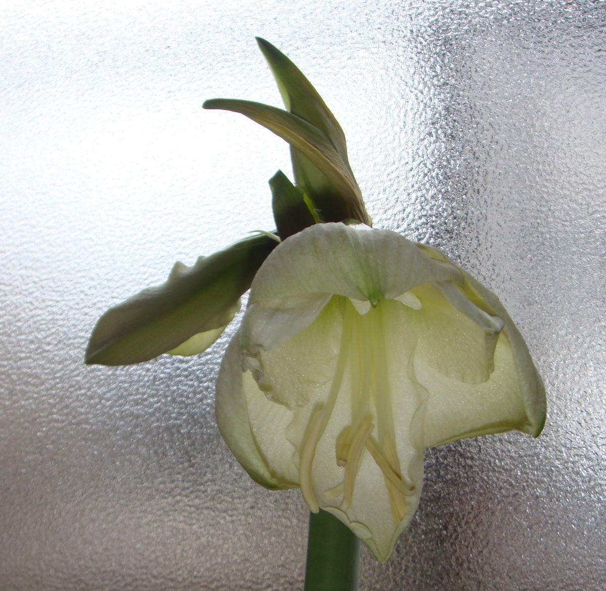 f:id:hohoan:20210510063535j:plain
