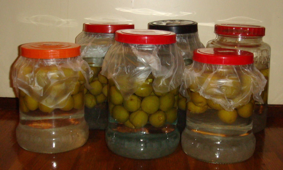 f:id:hohoan:20210629213623j:plain